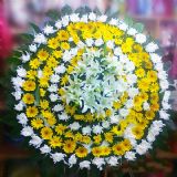 宁海开业花篮